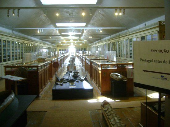 Academia das Ciências de Lisboa